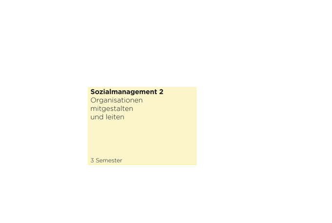 Sozialmanagement 2 - Organisationen mitgestalten und leiten